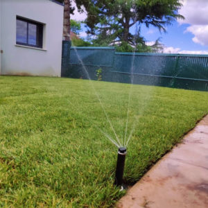 Arrosage de la pelouse après la pose dans un jardin des Yvelines